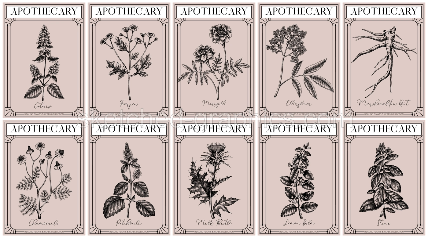 Apothecary labels set. Healing plants and medicinal herbs sketches. Art nouveua, adt deco, retro style. Vintage frame design templates. NOT AI generated Illustration